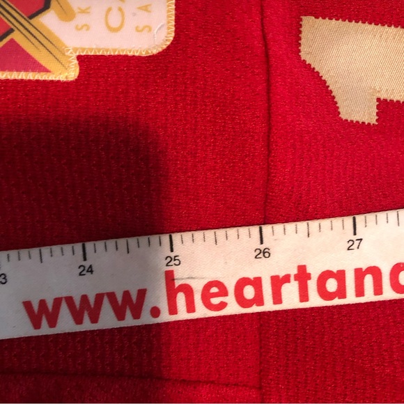 Custom Made Jersey to honour Canadian Ski Jumping program for Sochi Olym… - Picture 13 of 16